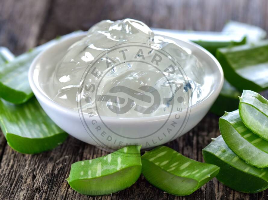 Fine aloe vera powder for skin care used in modern cosmetic formulations for hydration and soothing benefits.