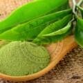Green Tea Extract: Polyphenols, EGCG & Specs