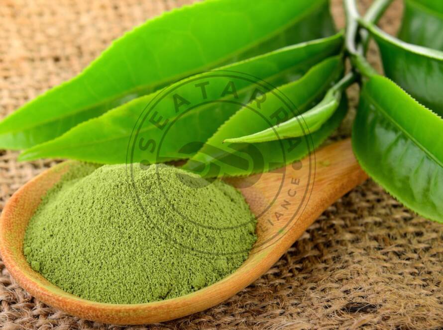 green tea extract benefits for food (polyphenols and EGCG)